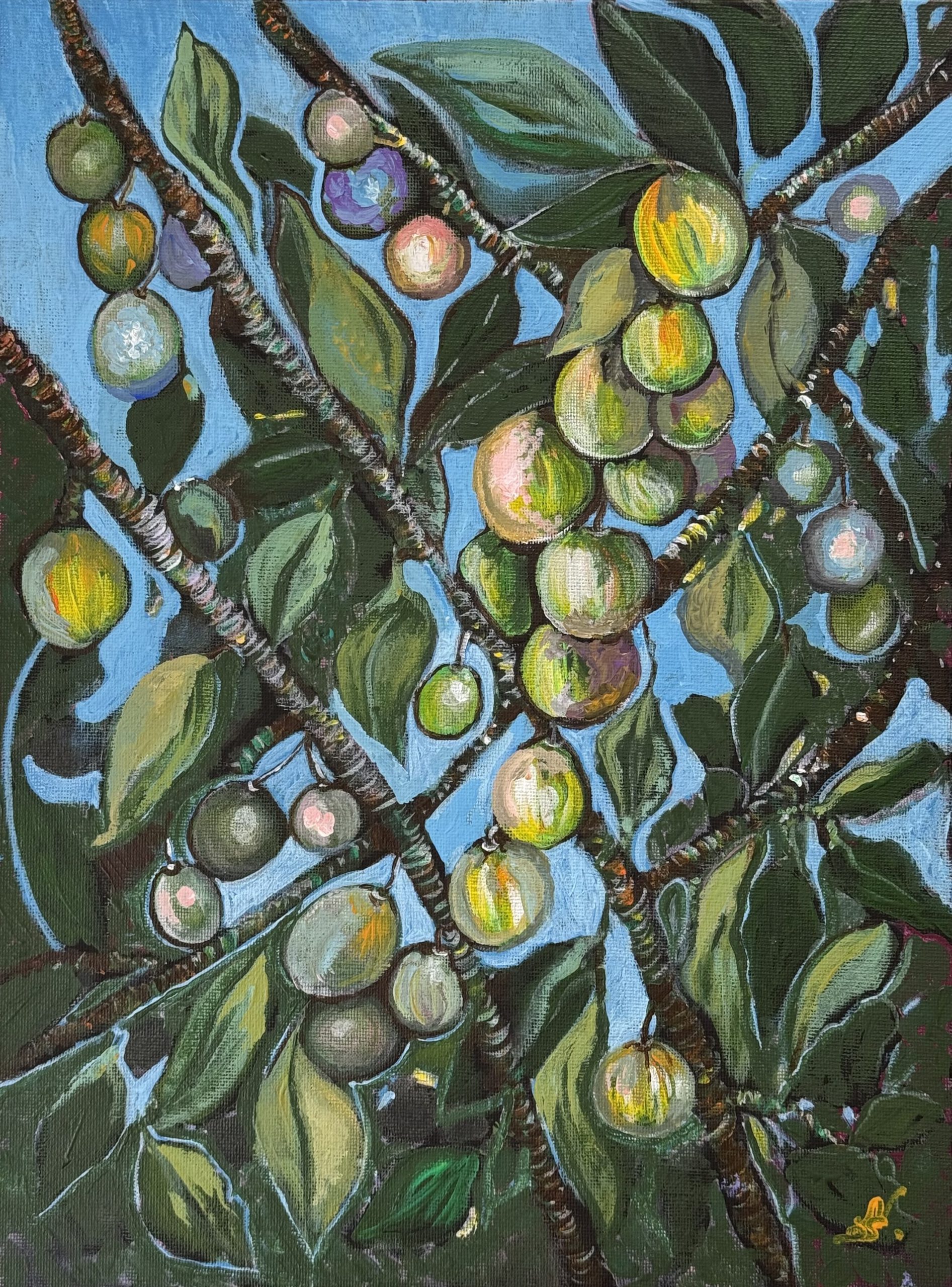 Wilde Pflaume (Gemäldeserie Natur)