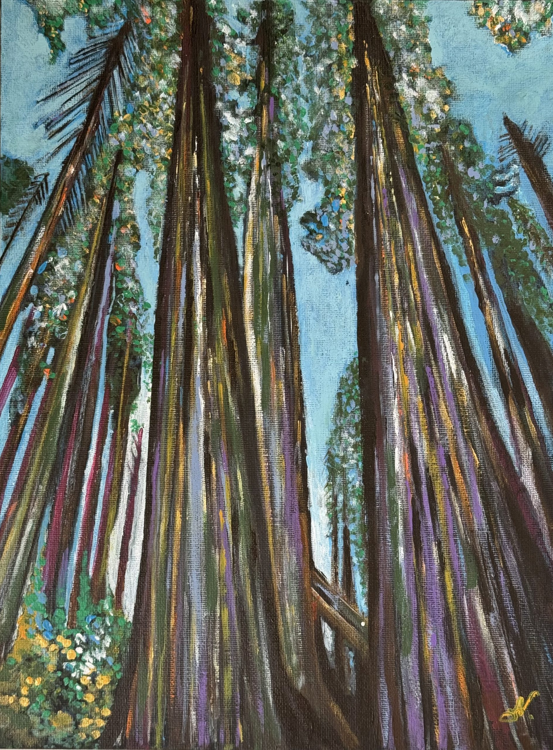 Mammutbaum (Gemäldeserie Natur)